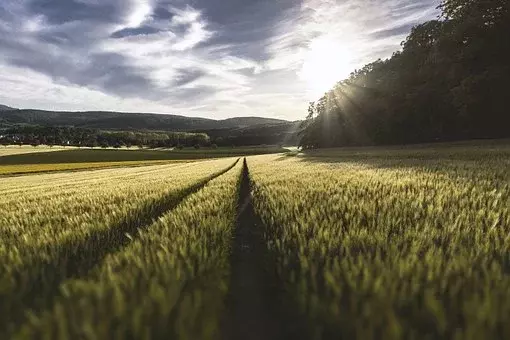 Kmetijska Zadruga Štajerska Kz HoČe Z O O